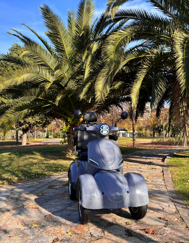 Four-Wheeled Moped