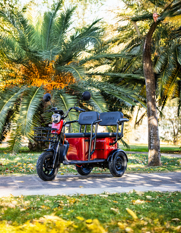 Three-Wheeled Moped