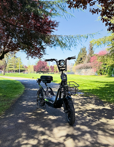 İki Tekerlekli Moped