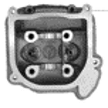 Cylinder head complete (125 CC)