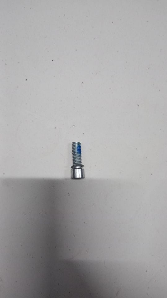 APM2: SWING ARM BUSHING BOLT