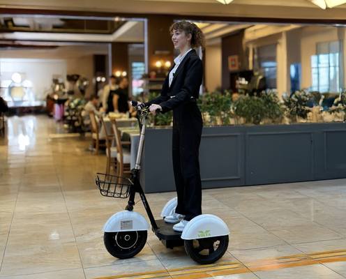 ELEKTRİKLİ SCOOTER